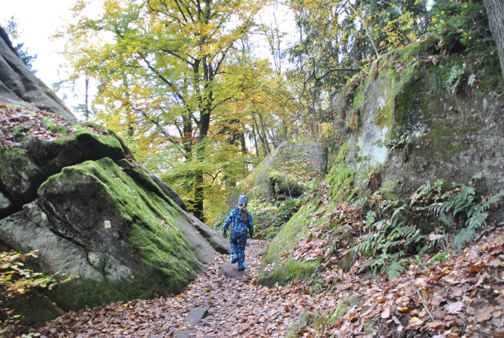 Familienwanderung auf den Lilienstein mit Kindern - Abstieg über den Nordweg