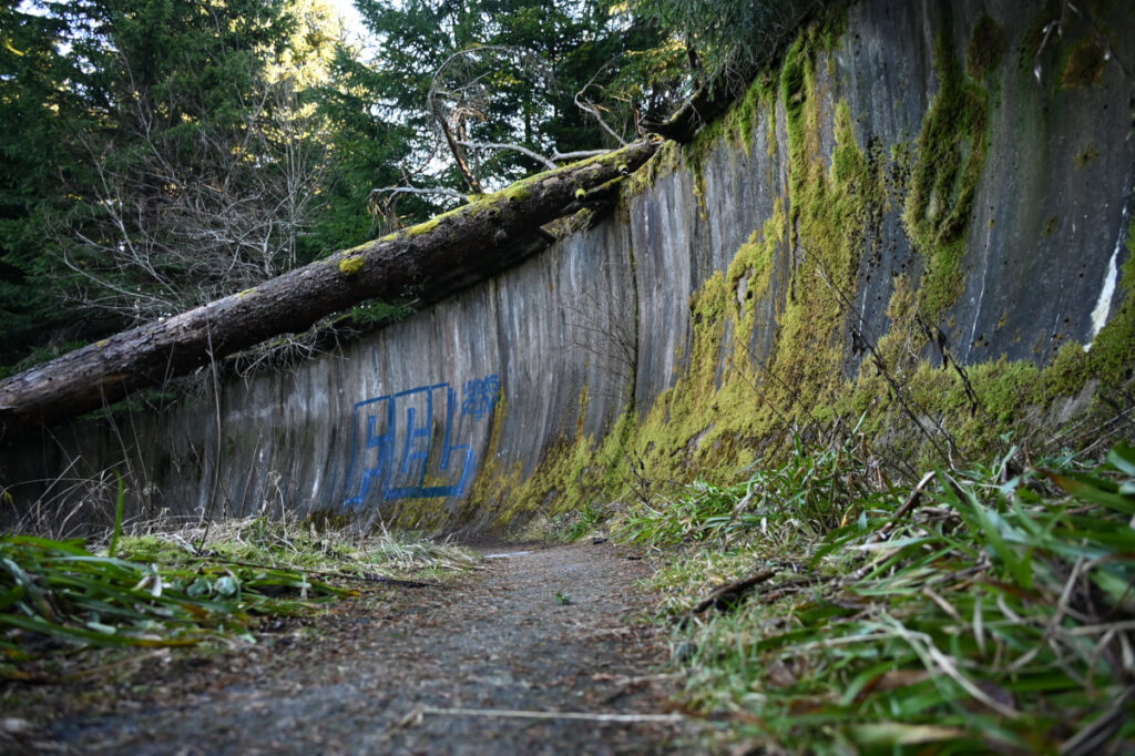 Familienurlaub in Oberwiesenthal im Erzgebirge - historische Rennrodelbahn Fichtelberg