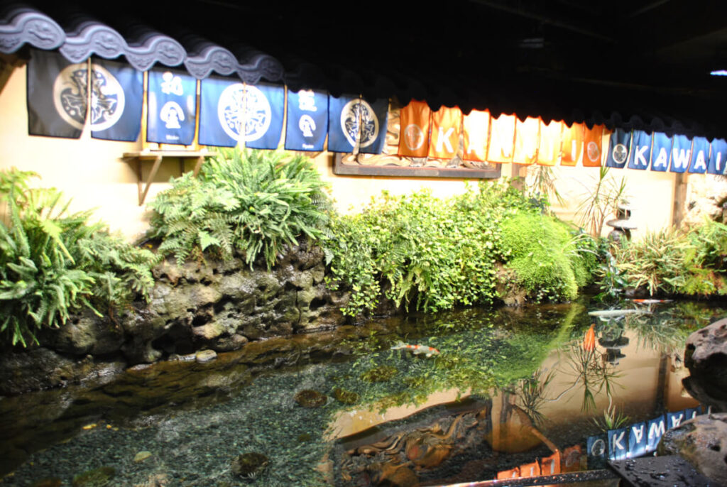 Aquarium Paris mit Kindern - fernöstliches Karpfenbecken