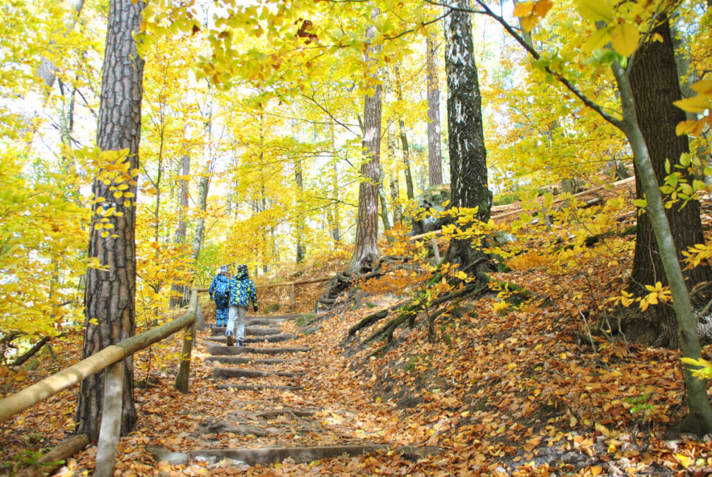 Familienwanderung auf den Lilienstein mit Kindern - spannender abwechslungsreicher Aufstieg
