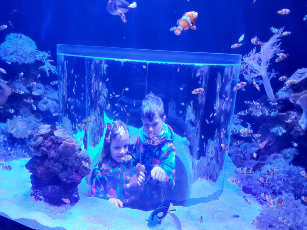 Mallorca mit Kindern im Winter - Ausflug ins Palma Aquarium