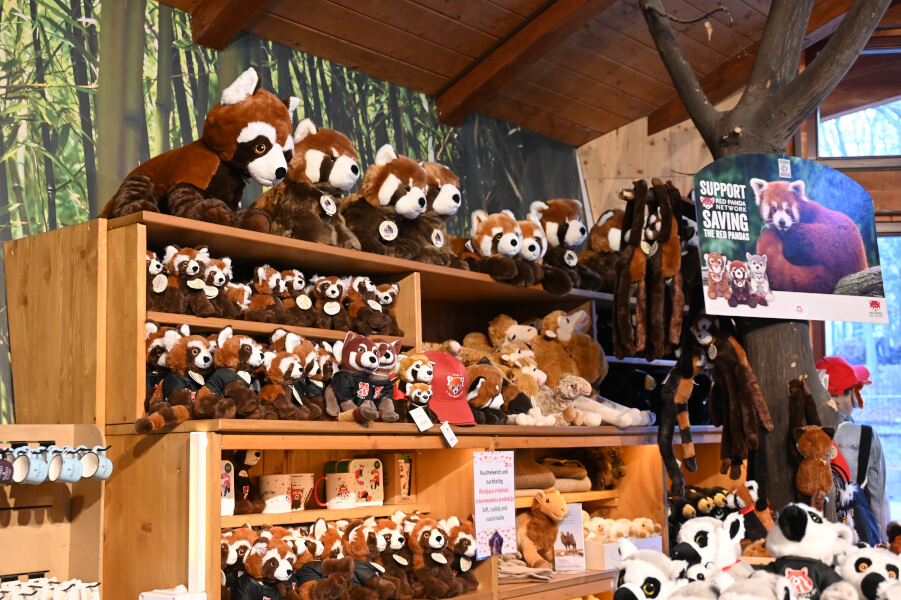 Tierpark Görlitz mit Kindern - überall rote Pandas