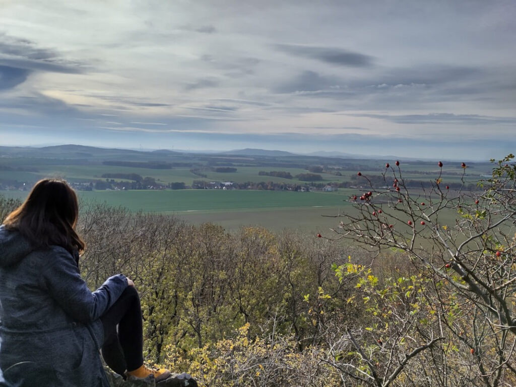 Meine Blogziele 2026 - die Zukunft fest im Blick