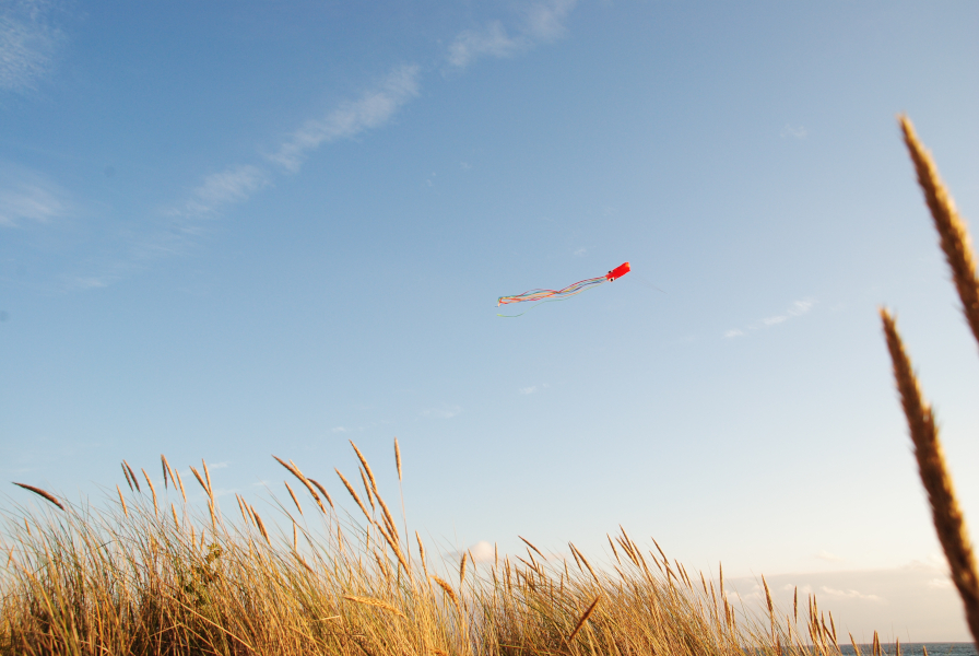 Familienurlaub für Introvertierte - Drachensteigen an der Ostsee