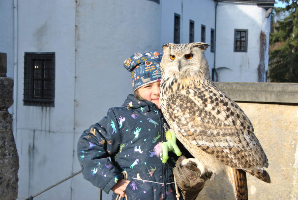 Altenberg mit Kindern – Ausflugstipps & Familienhotel im Erzgebirge - Falknervorstellung Lauenstein