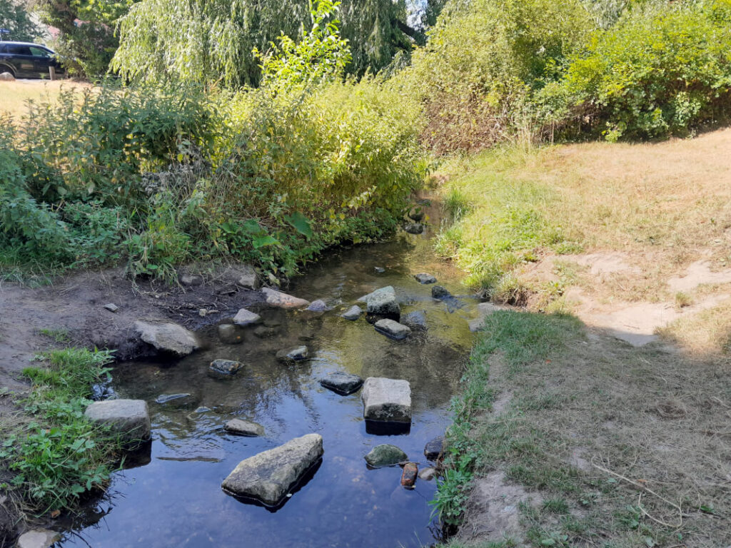 Abkühlung mit Kindern in Dresden - Kaitzbach 