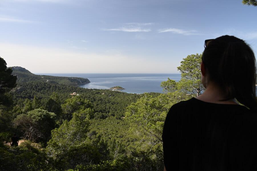 Wanderung nach La Trapa - das schönste Mallorca-Abenteuer, das wir nie geplant hatten - Aussicht aufs Mittelmeer in der Serra de Tramuntana