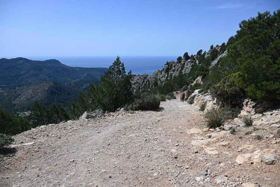 Wanderung nach La Trapa - das schönste Mallorca-Abenteuer, das wir nie geplant hatten - Abstieg über die "Straße" zurück zum Auto