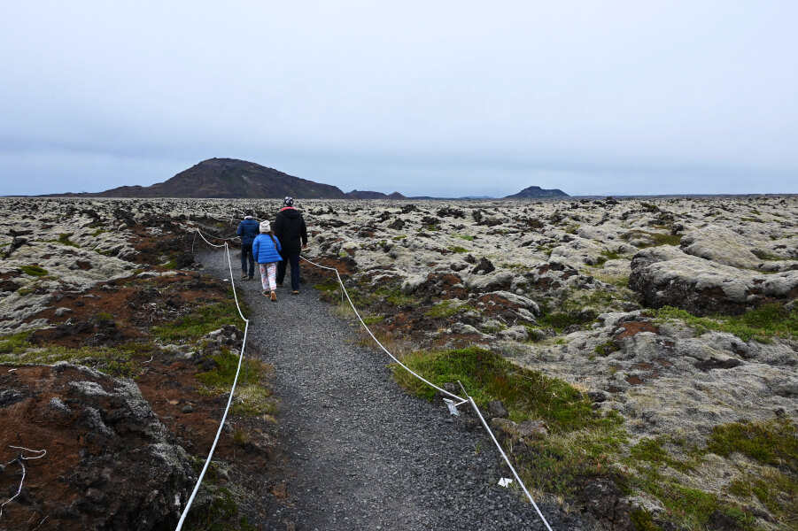 Reykjanes mit Kindern erkunden - Islands spannende Lavahalbinsel im Südwesten - mit Moos überwachsene Lavasteine - das darf nicht betreten werden