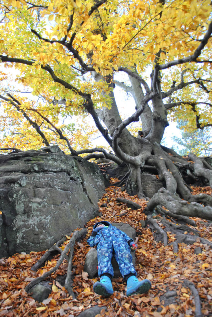 Familienwanderung auf den Lilienstein mit Kindern - oben erst einmal eine Pause machen