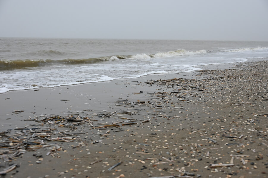 Ausflug von Amsterdam nach Zandvoort aan Zee - Nordsee und Muscheln