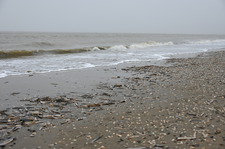 FOMO oder Fernweh? Warum ich nicht aufhören kann, die Welt zu entdecken - Zandvoort aan Zee am Meer