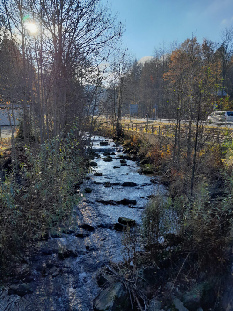 Altenberg mit Kindern – Ausflugstipps & Familienhotel im Erzgebirge - wunderschönes Müglitztal