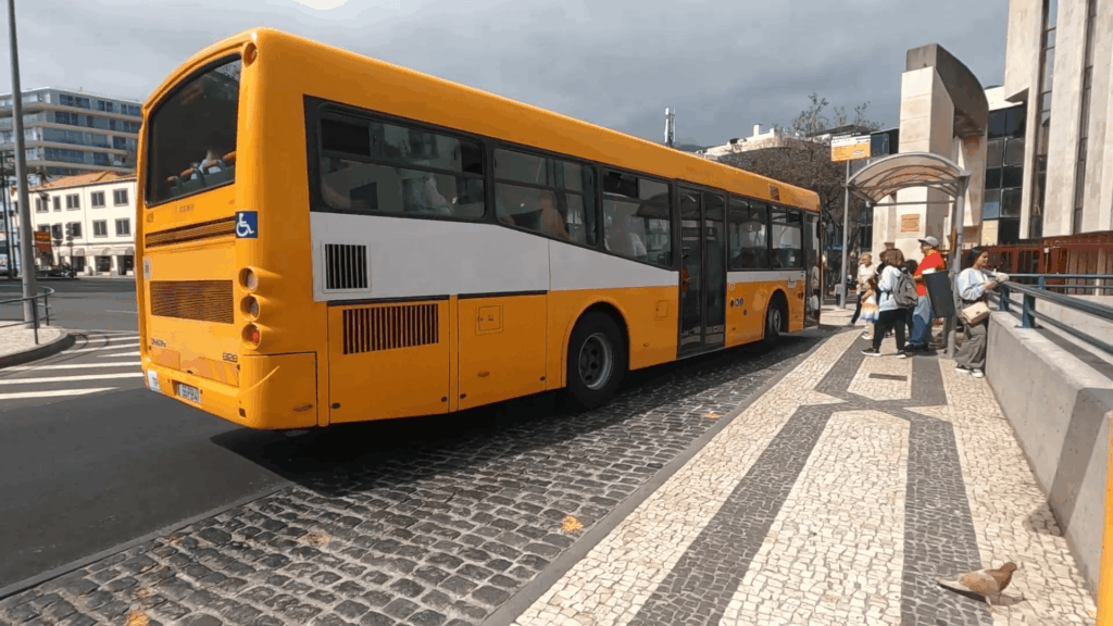 Familienurlaub Madeira - öffentlicher Bus zu den wichtigsten Sehenswürdigkeiten