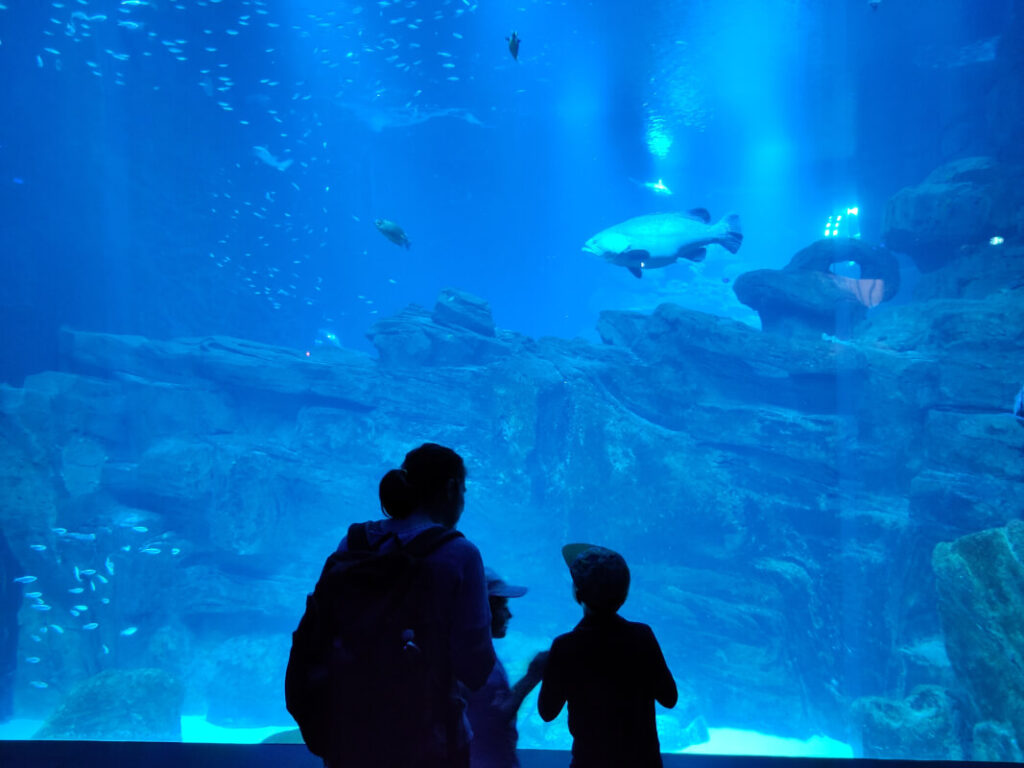 Aquarium Paris mit Kindern - Panoramabecken