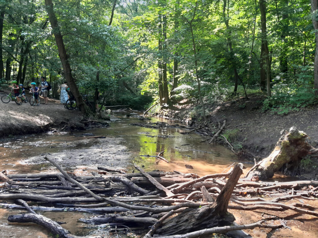 Abkühlung mit Kindern in Dresden - Prießnitz in der Dresdner Heide 