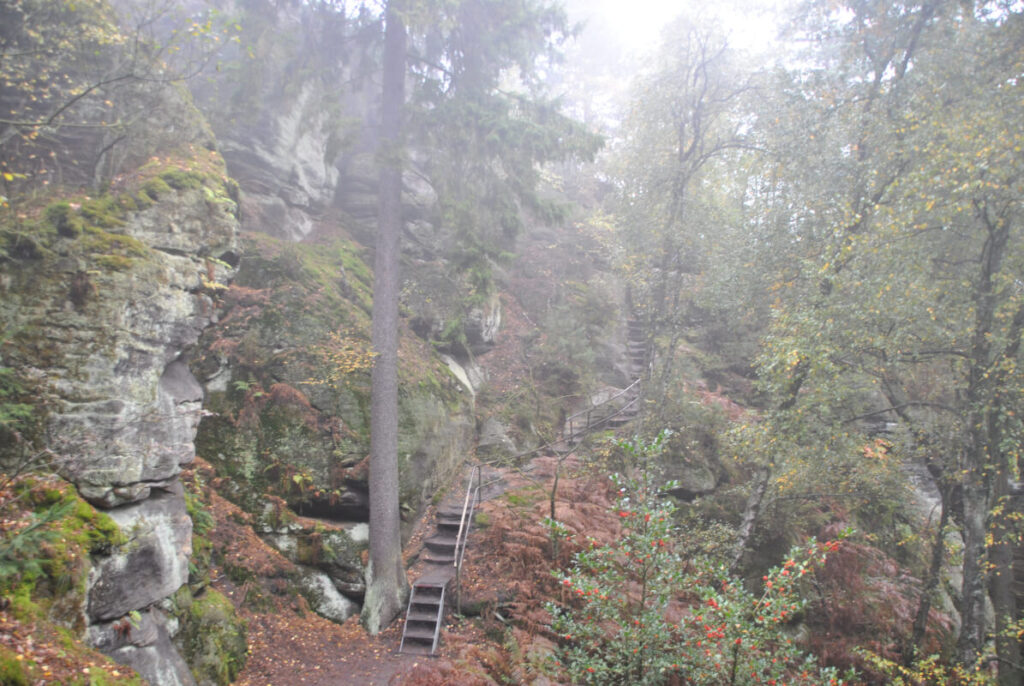 Familienwanderung in der Sächsischen Schweiz - Rauenstein und Bärensteine mit Kindern - Nebelstimmung 
