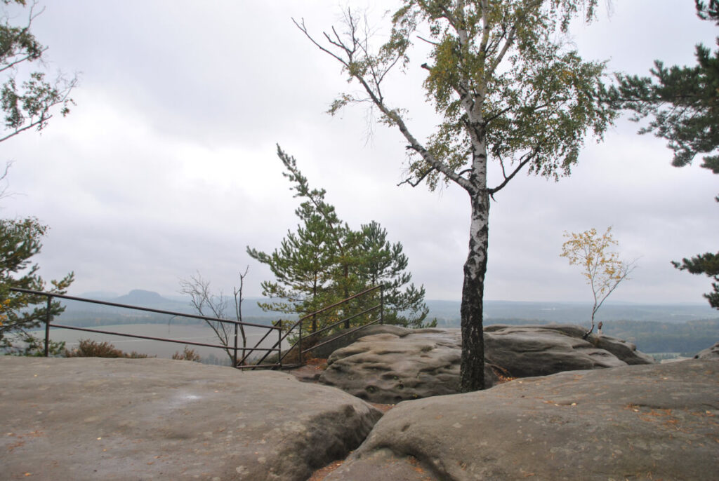 Familienwanderung in der Sächsischen Schweiz - Rauenstein und Bärensteine mit Kindern - Am Gipfel des Rauensteins