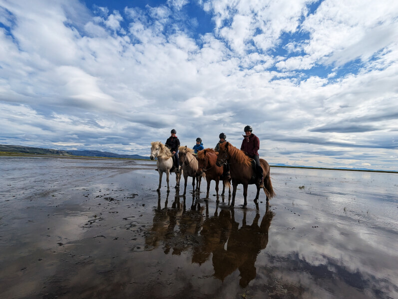 Urlaub in Island mit Kindern - 10 unvergessliche Lieblingsmomente - Reiten auf Island ist wundervoll