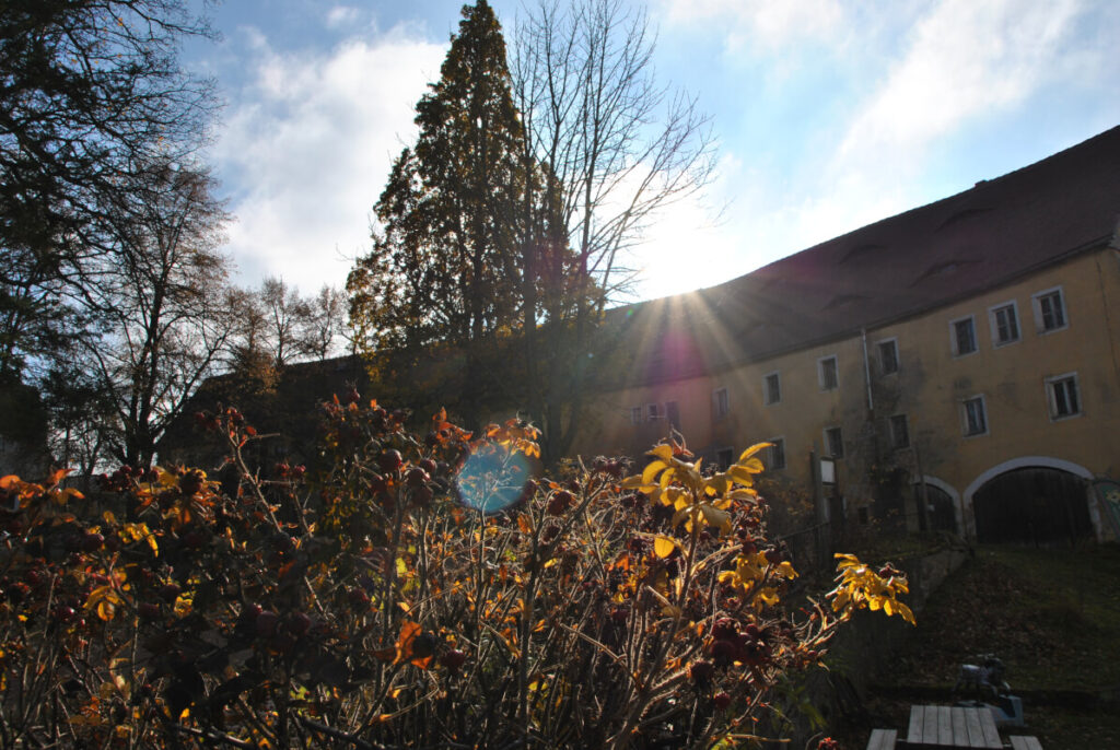 Altenberg mit Kindern – Ausflugstipps & Familienhotel im Erzgebirge - Schloss Lauenstein im Sonnenlicht