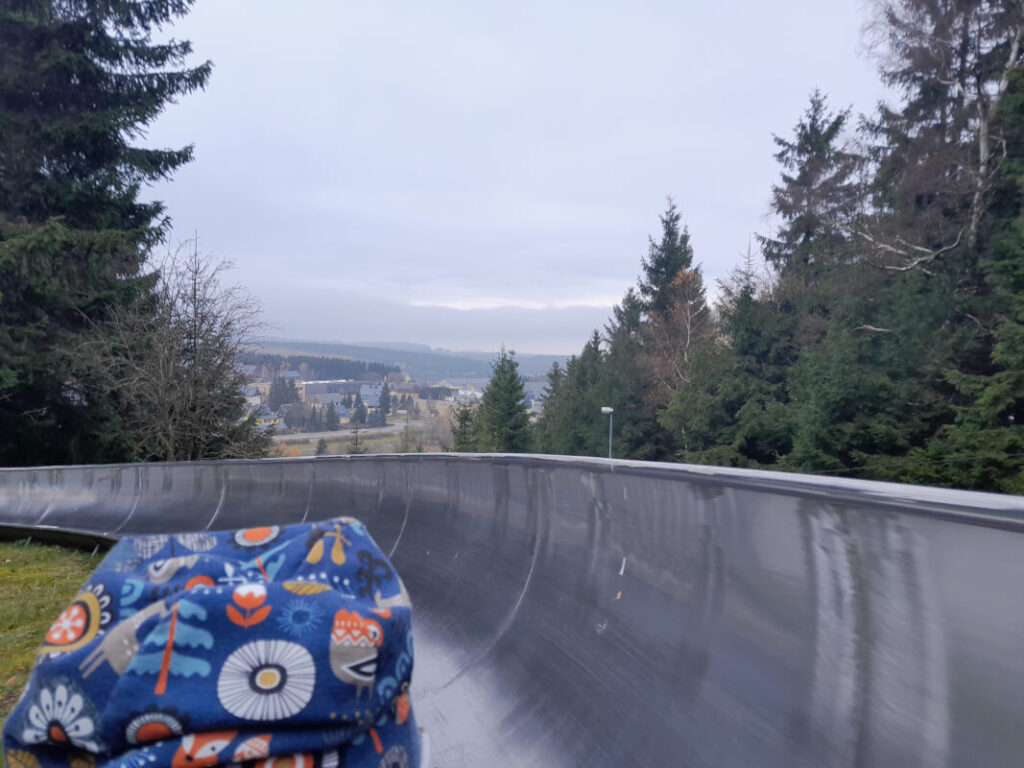 Altenberg mit Kindern – Ausflugstipps & Familienhotel im Erzgebirge - Sommerrodelbahn