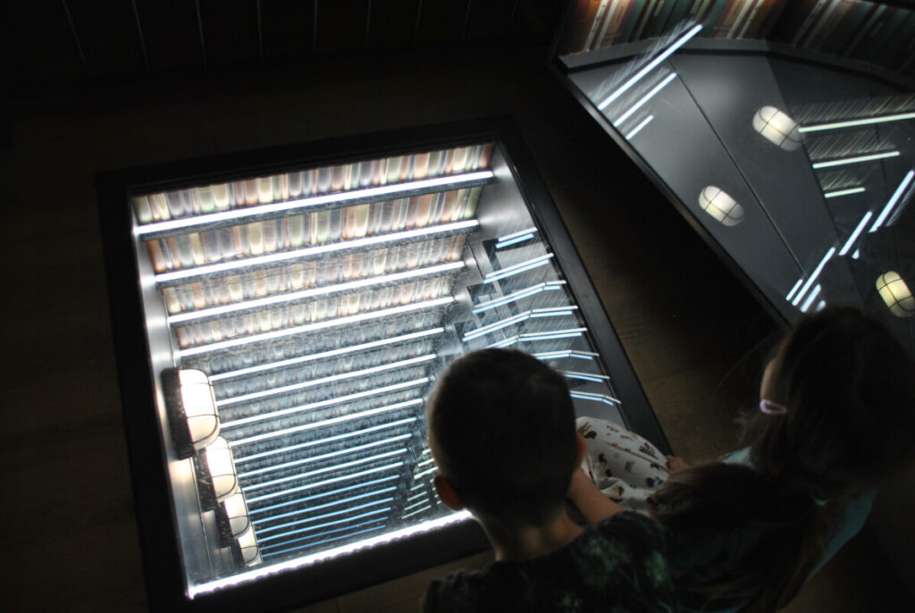Paradox Museum Paris mit Kindern -