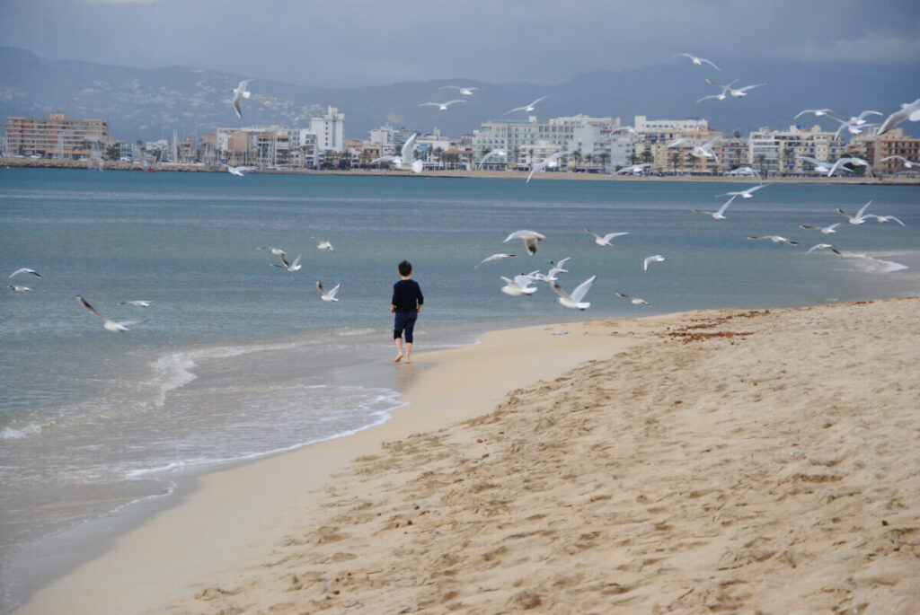 Mallorca mit Kindern im Winter