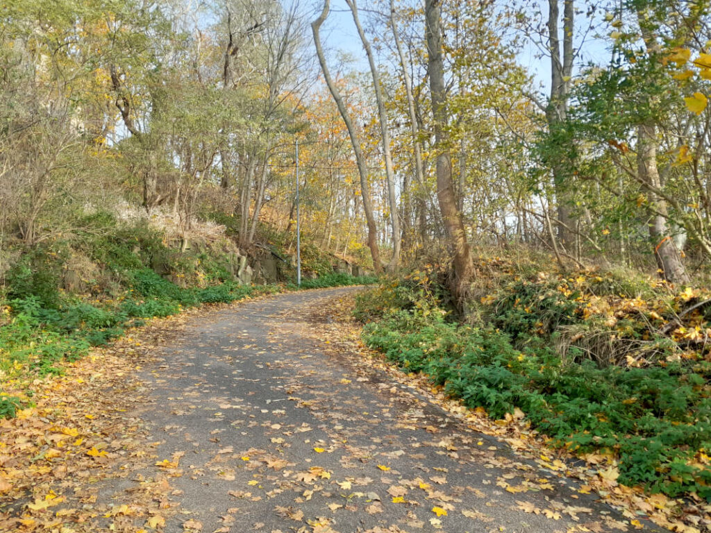 Landeskrone Görlitz mit Kindern - Weg nach oben oder unten auf der Straße