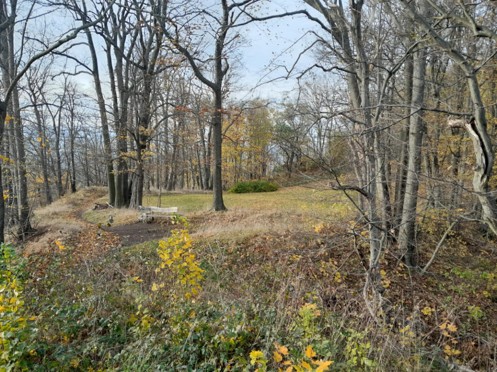 Landeskrone Görlitz mit Kindern - Blick zum Vulkankrater