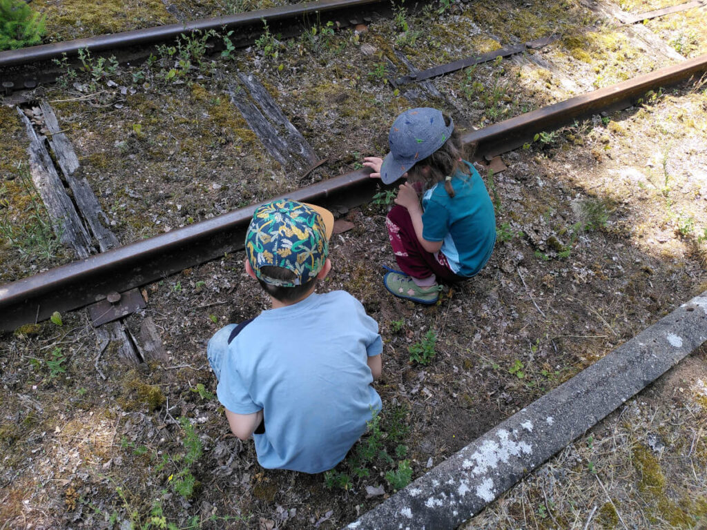 Småland mit Kindern - abenteuerliche Fahrt mit der Schmalspurbahn